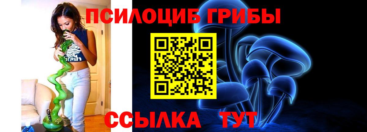 Псилоцибиновые грибы Magic Shrooms Узловая