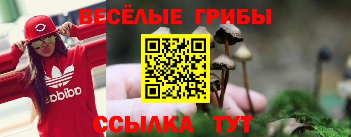 Псилоцибиновые грибы Psilocybine cubensis  Вход с VPN  продажа наркотиков  Узловая 